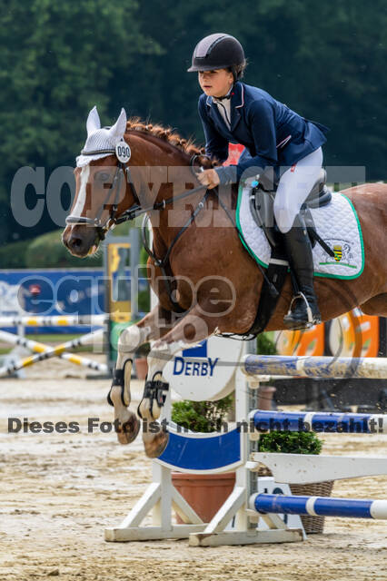 Goldene Schärpe 2021 - Ponys