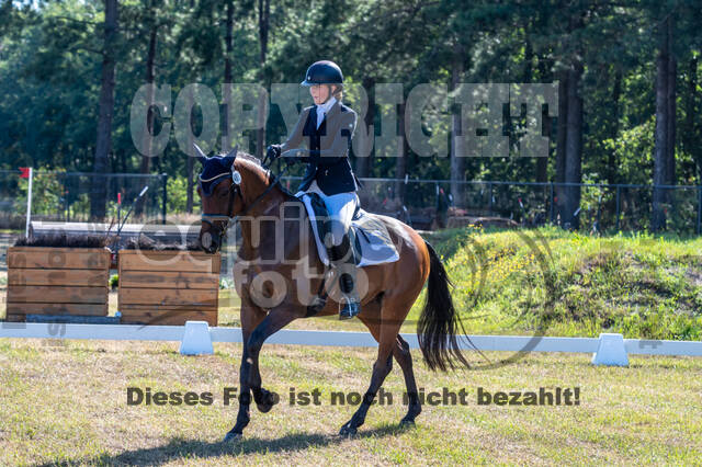 Kronenberg - De Peelbergen (August 2020)