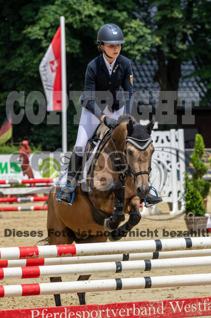 Goldene Schärpe 2021 - Ponys