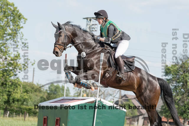Vielseitigkeitsturnier ZRuFV von Lützow Hamminkeln