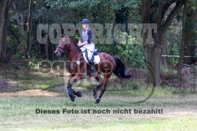 Late-Entry Vielseitigkeit Hamminkeln/Wesel (01.+02.08.2020)