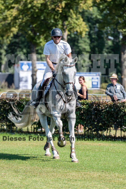 Kronenberg - De Peelbergen (August 2020)