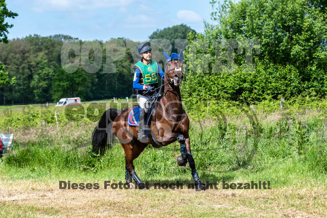 Westerstede Horse Trials (10.-13.06.2021)