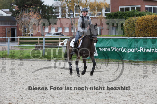 IGV Lehrgang der Sieger der Cups mit Frank Ostholt