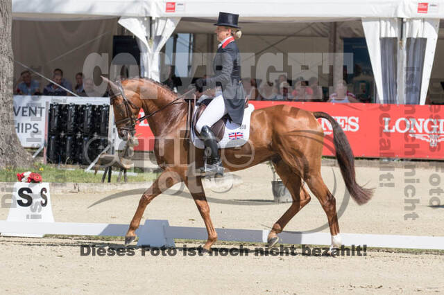 FEI European Championship Eventing 2017