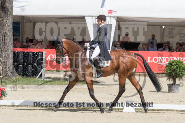 FEI European Championship Eventing 2017