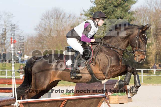 Eventing Langenfeld 2018