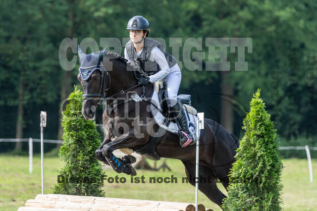 Goldene Schärpe 2021 - Ponys