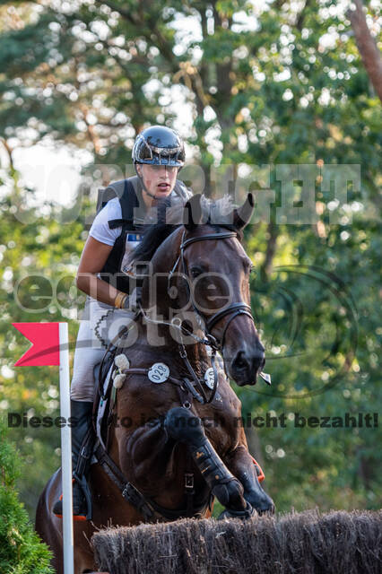 De Peelbergen (August 2020)