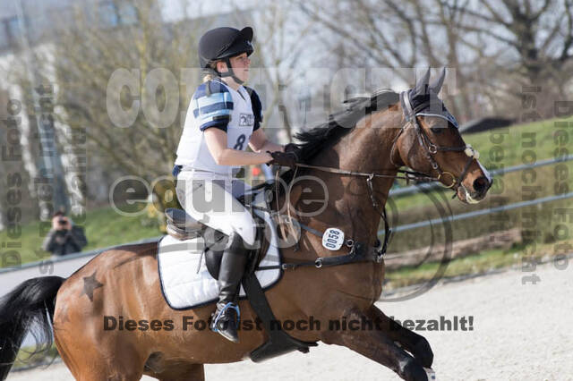 Eventing Langenfeld 2018