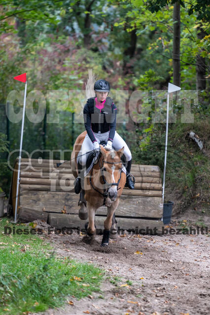 Goldene Schärpe 2020 - Pferde