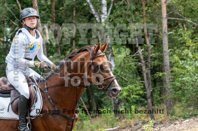 Late-Entry Vielseitigkeit Hamminkeln/Wesel (01.+02.08.2020)
