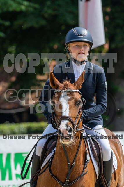 Goldene Schärpe 2021 - Ponys