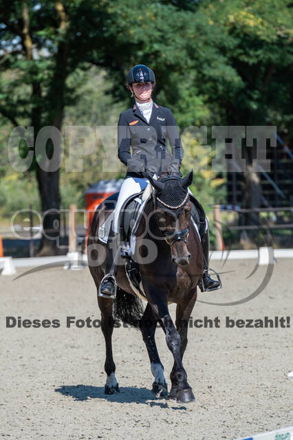 Kronenberg - De Peelbergen (August 2020)