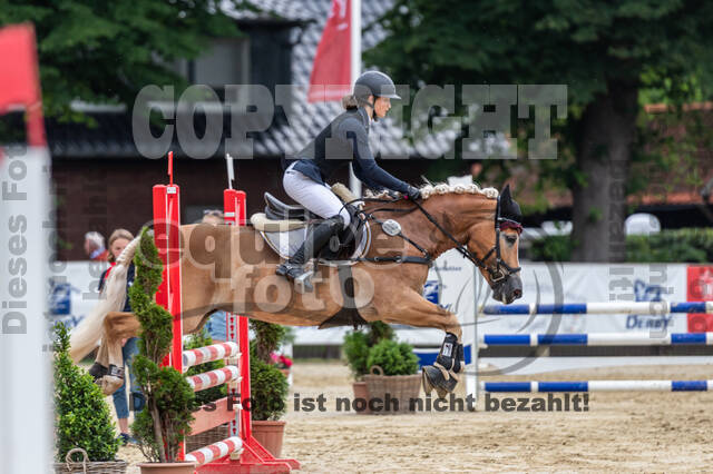 Goldene Schärpe 2021 - Ponys