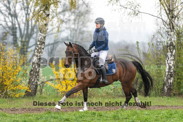Berufsreiter Late Entry Gahlen 2021