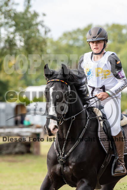 Vielseitigkeit RSV Wesel Obrighoven (26.+27.09.2020)