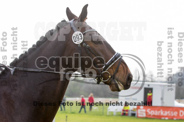 RV Seydlitz Kamp (06.+07.04.2019)