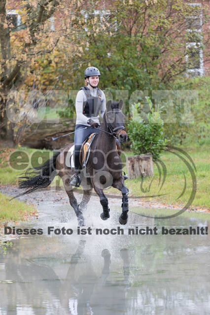 IGV Lehrgang der Sieger der Cups mit Frank Ostholt