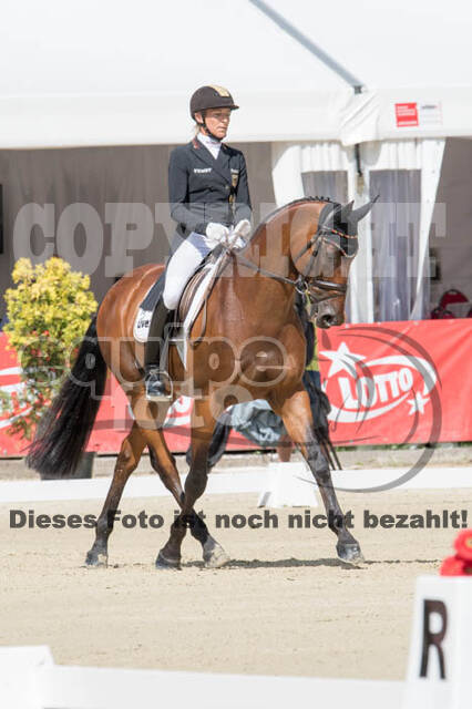 FEI European Championship Eventing 2017