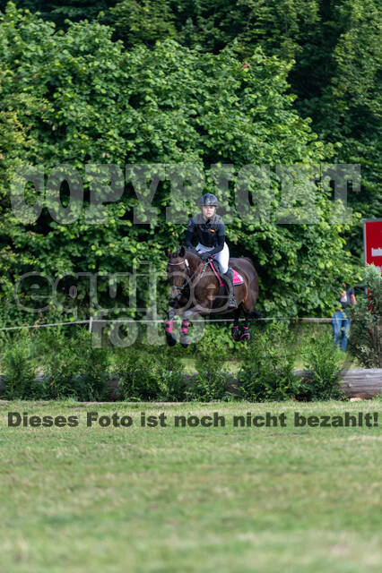 Goldene Schärpe 2021 - Ponys