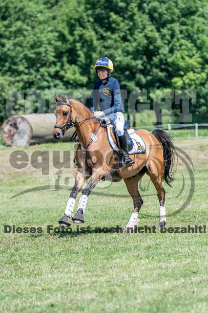 Goldene Schärpe 2021 - Ponys