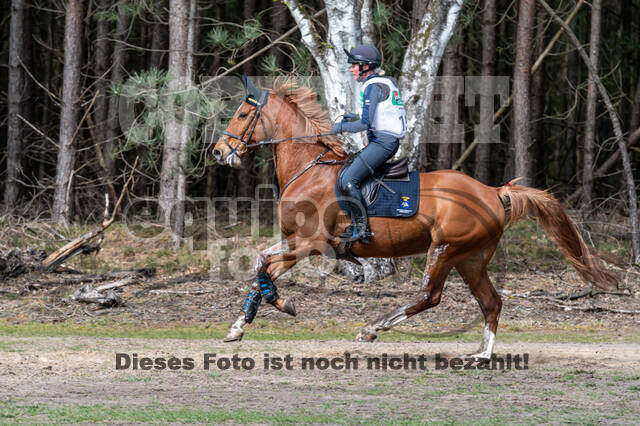 Kronenberg - De Peelbergen (02.04.2022)