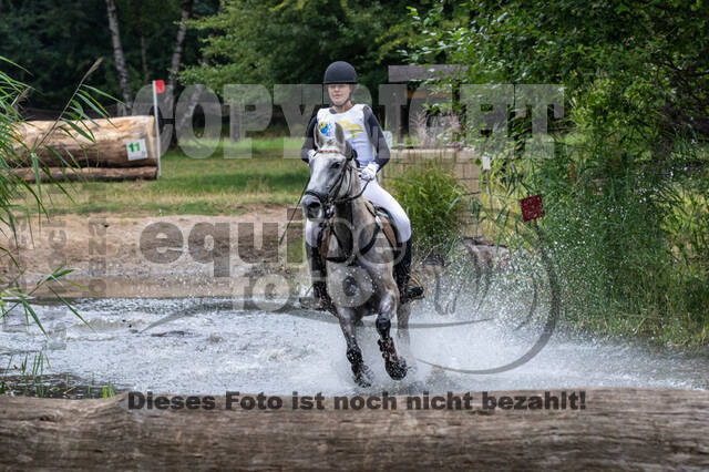 Late-Entry Vielseitigkeit Hamminkeln/Wesel (01.+02.08.2020)