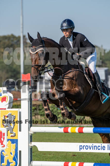 De Peelbergen (August 2020)