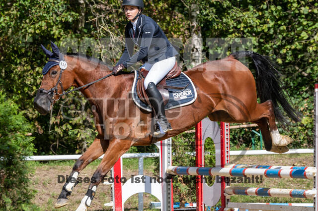 RFV Dinslaken-Hiesfeld (Herbstturnier)