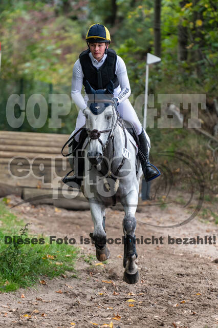 Goldene Schärpe 2020 - Pferde