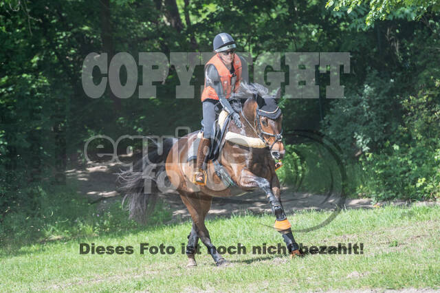 Test of Choise Langenfeld (29.+30.05.2021)