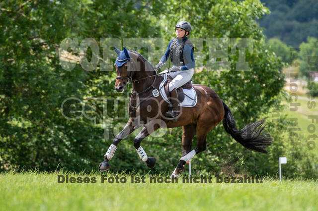 Bonn-Rodderberg Late-Entry-Vielseitigkeit (30.06.2020)