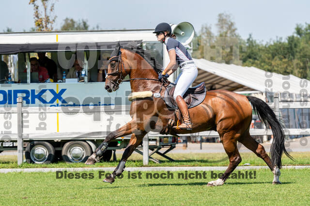 Kronenberg - De Peelbergen (August 2020)