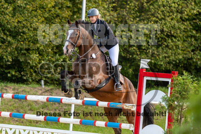 RFV Dinslaken-Hiesfeld (Herbstturnier)