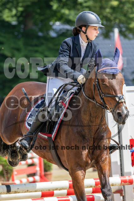 Goldene Schärpe 2021 - Ponys