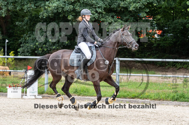 Late-Entry-Vielseitigkeit Langenfeld (06.+07.07.2020)