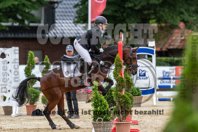Goldene Schärpe 2021 - Ponys