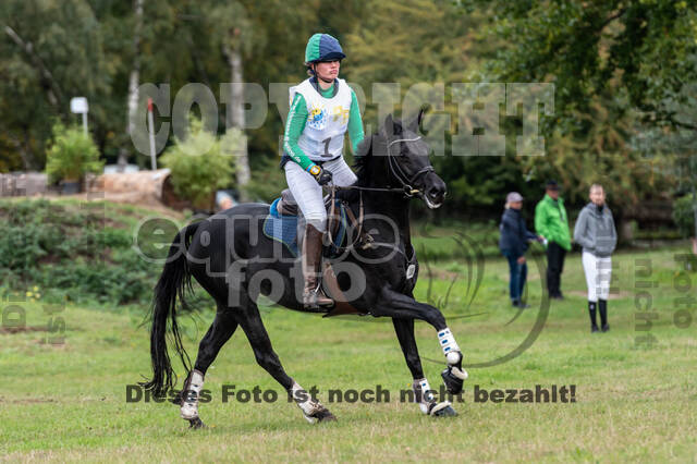 Vielseitigkeit RSV Wesel Obrighoven (26.+27.09.2020)