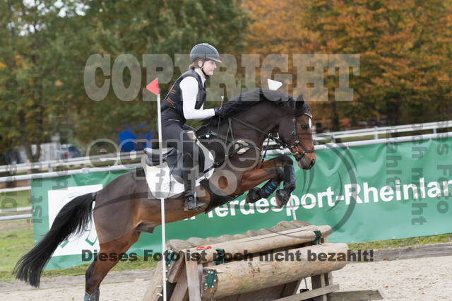 IGV Lehrgang der Sieger der Cups mit Frank Ostholt