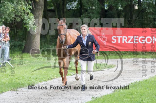 FEI European Championship Eventing 2017
