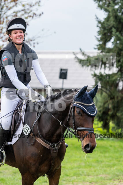 Goldene Schärpe 2020 - Pferde