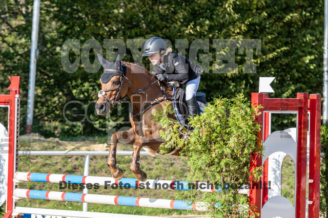 RFV Dinslaken-Hiesfeld (Herbstturnier)