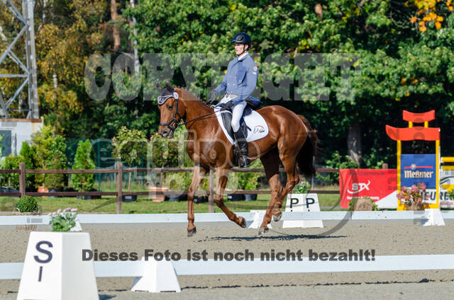 Deutsche Meisterschaft Vielseitigkeit (Luhmühlen)