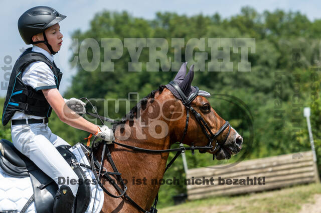 Goldene Schärpe 2021 - Ponys