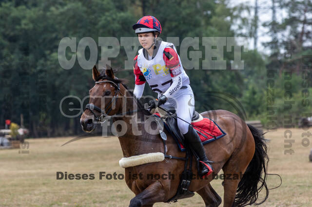 Late-Entry Vielseitigkeit Hamminkeln/Wesel (01.+02.08.2020)