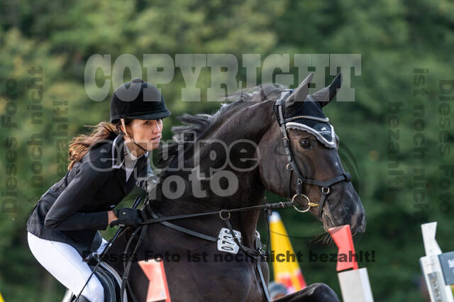 RFV Dinslaken-Hiesfeld (Herbstturnier)