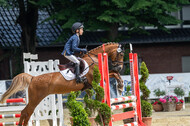 Goldene Schärpe 2021 - Ponys