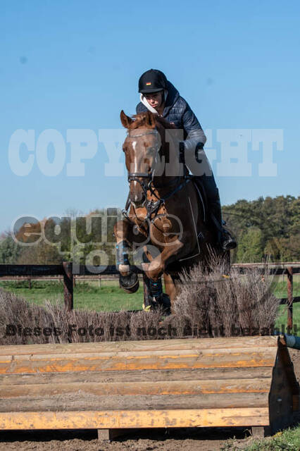 Vielseitigkeitslehrgang mit Jürg Kurbel (9.+10.11.2019)