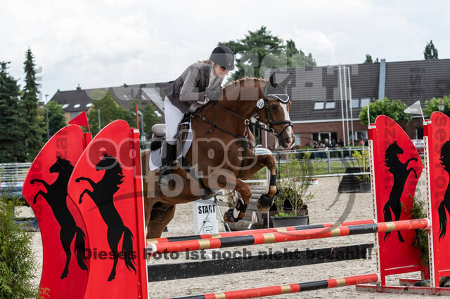 Late-Entry-Vielseitigkeit Langenfeld (06.+07.07.2020)